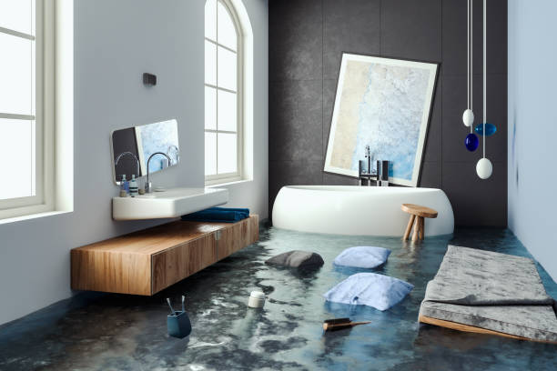 Best Local water damage restoration  in Bristol, TN