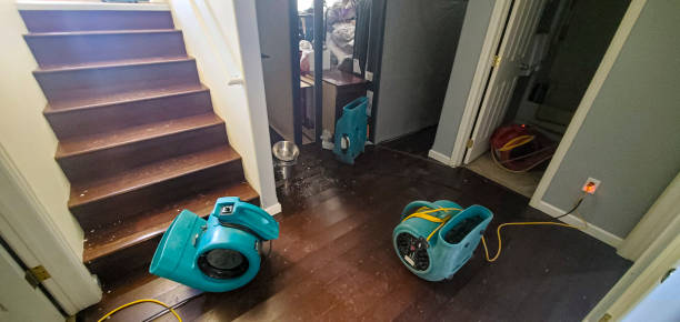 Best Water damage repair service  in Bristol, TN