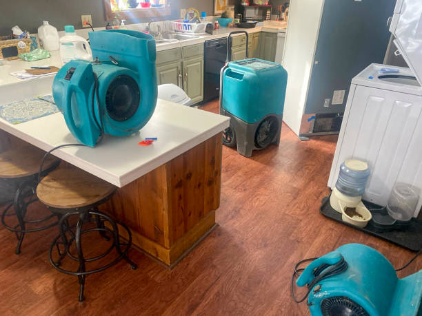  Bristol, TN Water damage restoration Pros