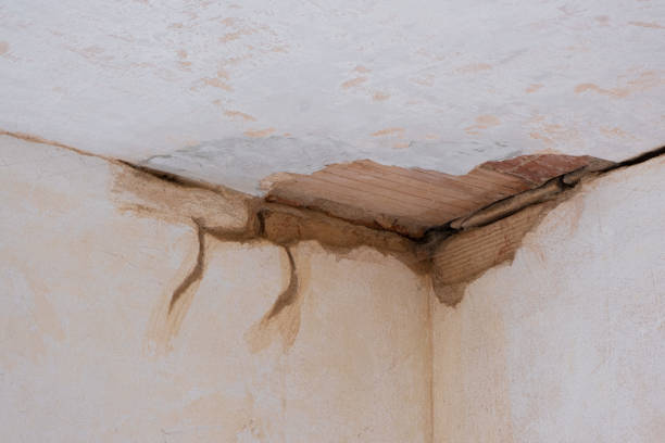 Best Sewage cleanup and water damage restoration  in Bristol, TN
