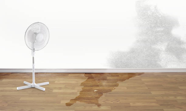 Water damage restoration insurance claims in Bristol, TN