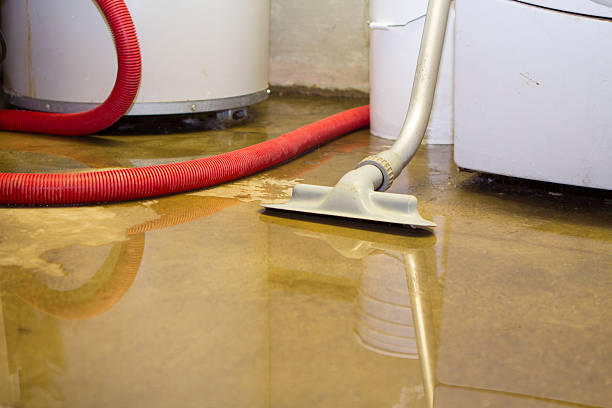 Best 24-hour water damage restoration  in Bristol, TN